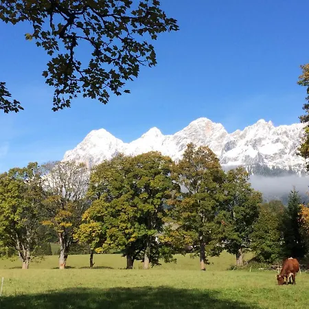 Ahorn * Ramsau am Dachstein