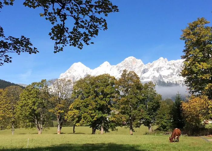 Ahorn * Ramsau am Dachstein